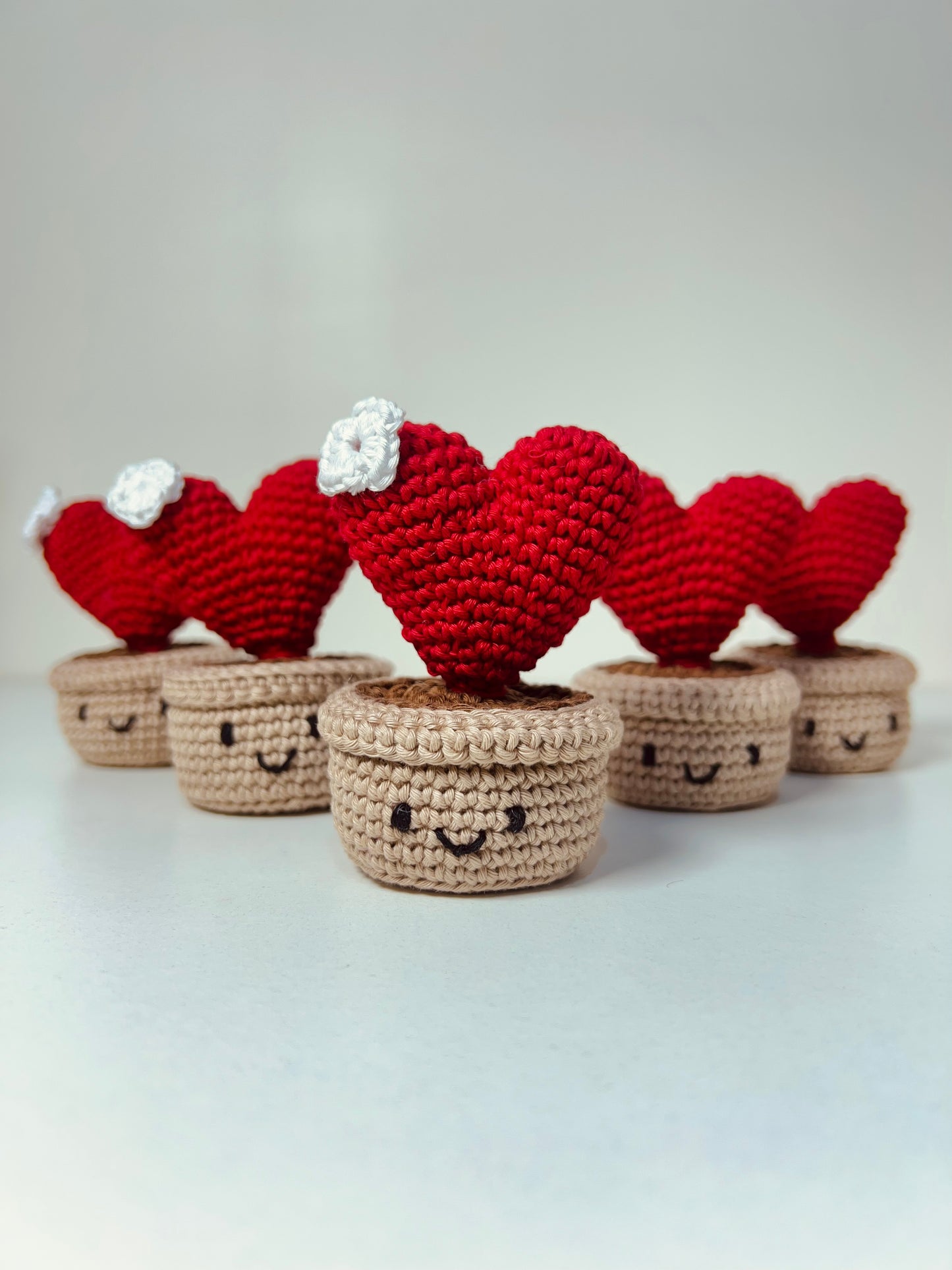 Croche Love Cactus